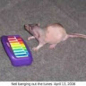 Meet your Posher, Maxine